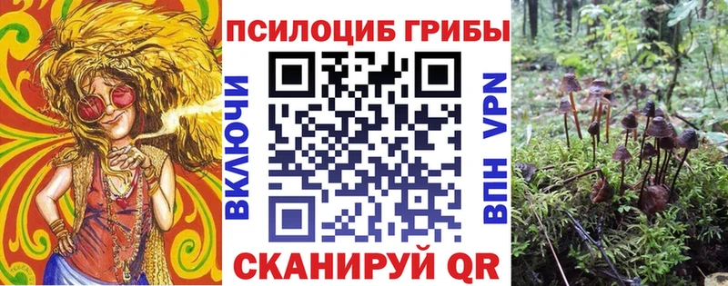 Псилоцибиновые грибы мухоморы  Медынь 